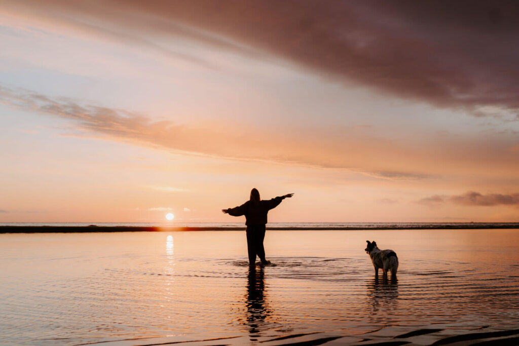 blaue Stunde Fotograf Strand hund